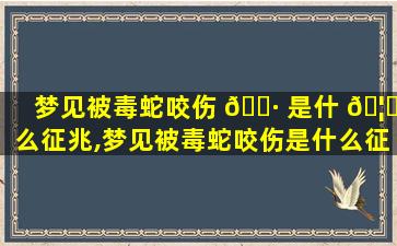 梦见被毒蛇咬伤 🕷 是什 🦍 么征兆,梦见被毒蛇咬伤是什么征兆周公解梦